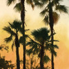 Morning Palm Tree I Poster Print by Rick Novak - Item # VARPDXNZ043A