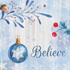 Christmas Believe Poster Print by Orane Fraser - Item # VARPDXOFSQ017A