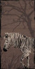 Zebra Poster Print by OnRei OnRei - Item # VARPDXONPL024C