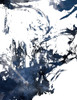 Blue Jay Mix Poster Print by On Rei On Rei - Item # VARPDXONRC156B