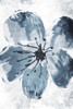 Sketched Cool Flower Mate Poster Print by OnRei OnRei - Item # VARPDXONRC228B