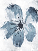 Sketched Cool Flower Mate Poster Print by OnRei OnRei - Item # VARPDXONRC254B