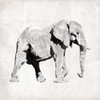 Elephant Poster Print by OnRei OnRei - Item # VARPDXONSQ028B