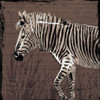 Zebra Walk Brown Poster Print by OnRei OnRei - Item # VARPDXONSQ044A2