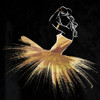 Golden Dress Puff Poster Print by OnRei OnRei - Item # VARPDXONSQ171A