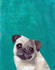 Pug Puppy  Poster Print by PI Studio  PI Studio  - Item # VARPDXPA990AF