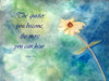 The Quieter You Become Poster Print by Debbie Pearson - Item # VARPDXPDRC001B