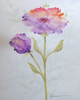 Poppies 1 Poster Print by Debbie Pearson - Item # VARPDXPDRC005A