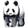 Panda Poster Print by Marina Billinghurst - Item # VARPDXPOD60625