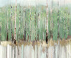 Tree Essence I Poster Print by Allison Pearce