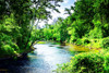 Summer Day on the Neuse River Poster Print by Alan Hausenflock - Item # VARPDXPSHSF2323