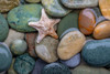 Seastar and Beach Rock Poster Print by Kathy Mahan - Item # VARPDXPSMHN889