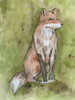Fantastic Fox Poster Print by Pam Varacek - Item # VARPDXPVRC057A