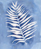 Natural Silhouette A Poster Print by Pam Varacek - Item # VARPDXPVRC075A