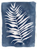 Indigo Silhouette A Poster Print by Pam Varacek - Item # VARPDXPVRC075A2