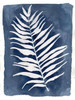Indigo Silhouette A Poster Print by Pam Varacek - Item # VARPDXPVRC075A2
