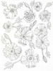 Floral Flow Poster Print by Pam Varacek - Item # VARPDXPVRC080A