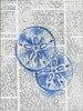 Written Sand Dollars Poster Print by Pam Varacek - Item # VARPDXPVRC089C