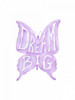 Dream Big Butterfly Poster Print by Pam Varacek - Item # VARPDXPVRC092A