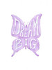 Dream Big Butterfly Poster Print by Pam Varacek - Item # VARPDXPVRC092A
