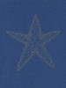 Glowing Indigo Starfish Poster Print by Pam Varacek - Item # VARPDXPVRC106A