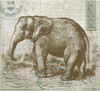 Elegant Safari Elephant 1 Poster Print by Candace Allen - Item # VARPDXQCARC029A