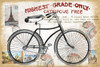 Bike Ride 1 Poster Print by Candace Allen - Item # VARPDXQCARC045A