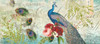 Peacock TOTE Poster Print by Candace Allen - Item # VARPDXQCARN001A