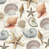 By The Sea Shells 2 Poster Print by Candace Allen - Item # VARPDXQCASQ060B