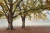 Park 1A Poster Print by Dianne Poinski - Item # VARPDXQPDRC025A