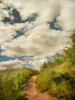 River Park Poster Print by Dianne Poinski - Item # VARPDXQPDRC031A