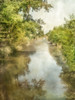 Summer Morning Poster Print by Dianne Poinski - Item # VARPDXQPDRC031D