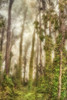 Presidio I Poster Print by Dianne Poinski - Item # VARPDXQPDRC032A