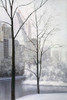Central Park Poster Print by Diane Romanello - Item # VARPDXR754D