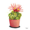 Cactus Flowers I Poster Print by Bannarot Bannarot - Item # VARPDXRB13637BN