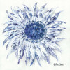 Blue Sunflower Poster Print by Roey Ebert - Item # VARPDXREAR240