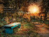 Show Me the Path Poster Print by Robin-Lee Vieira - Item # VARPDXRLV333A