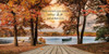 Embrace Life Poster Print by Robin-Lee Vieira - Item # VARPDXRLV487