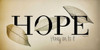Hope - Hang On to It Poster Print by Robin-Lee Vieira - Item # VARPDXRLV575