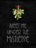 Meet Me Under the Mistletoe Poster Print by Susan Ball - Item # VARPDXSB624