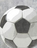 Sports Bal - Soccer Poster Print by Susan Ball - Item # VARPDXSB677