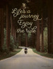 Lifes a Journey Poster Print by Susan Ball - Item # VARPDXSB701