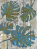 Distressed Palms Poster Print by Smith Haynes - Item # VARPDXSH5RC170H