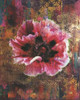 Vintage Florals 2 Poster Print by Smith Haynes - Item # VARPDXSHRC825B