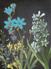 Fresh Meadow Bloom Poster Print by Sheldon Lewis