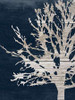 Contemporary Garden Indigo Poster Print by Sheldon Lewis - Item # VARPDXSLBRC328C1