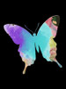 Butterfly Watercolor Poster Print by Sheldon Lewis - Item # VARPDXSLBRC343B
