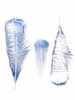 Multi Feather 1 Poster Print by Sheldon Lewis - Item # VARPDXSLBRC349A