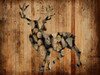 Deer Woods 2 Poster Print by Sheldon Lewis - Item # VARPDXSLBRC353B
