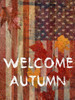 Fall Time USA Poster Print by Sheldon Lewis - Item # VARPDXSLBRC359A